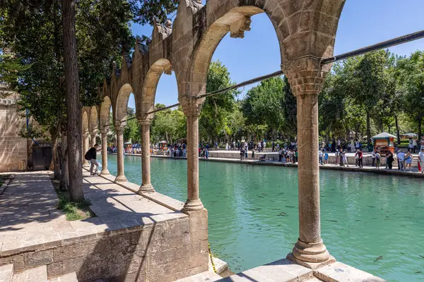 stock image Sanliurfa, Turkey August 4, 2024; Balikligol (The Fish Lake in English) in Sanliurfa, Turkey. The historic Pool of Abraham, or Pool of Sacred Fish in the city of Urfa, Turkey.