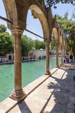 Şanlıurfa, Türkiye 4 Ağustos 2024; Şanlıurfa, Türkiye 'de Balikligol (İngilizce Balık Gölü). Türkiye 'nin Urfa kentindeki tarihi İbrahim Havuzu veya Kutsal Balık Havuzu.