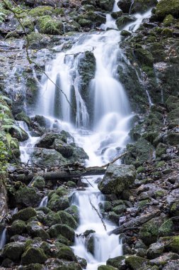 Yedigoller Şelaleleri 'nin manzara fotoğrafı. Sonbahar yapraklı şelale pürüzsüz ve yumuşak suya uzun süre maruz kaldı Yedigoller, Bolu, Türkiye.