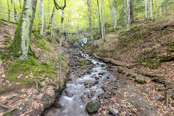 stock image Landscape photograph of long exposure yedigoller waterfalls. Waterfall with autumn leaves taken with long exposure to smooth and soften water Yedigoller, Bolu, Turkey.