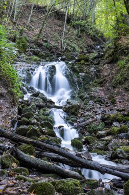Yedigoller Şelaleleri 'nin manzara fotoğrafı. Sonbahar yapraklı şelale pürüzsüz ve yumuşak suya uzun süre maruz kaldı Yedigoller, Bolu, Türkiye.