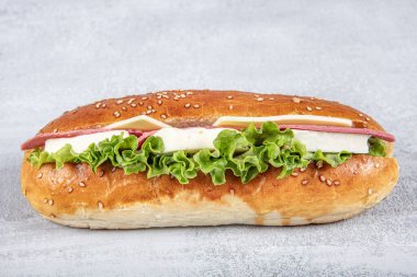 Caprese Panini Sandviçi, domates, Feta peyniri ve jambonlu. Lezzetli kahvaltı ya da atıştırmalık, temiz yemek, konsept.