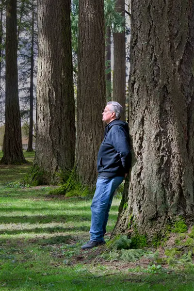 Ormandaki adam doğada dinleniyor.
