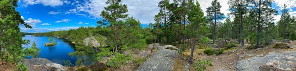Panoramische Foto Van Een Meer Het Bos Van Zweedse Natuur — Stockfoto