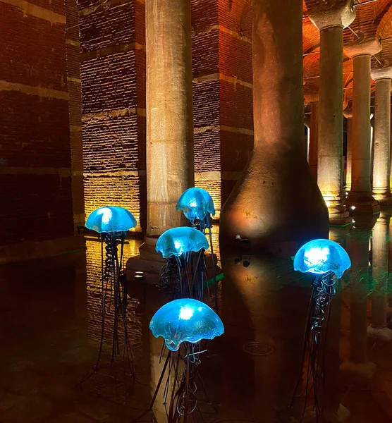 Medúzy Umění Bazilice Vodní Cisterny Istanbulu — Stock fotografie