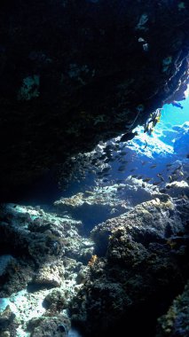 Mağaranın içindeki su altı sahnesi. Güneş ışığı çok güzel. Tüplü dalıştan.