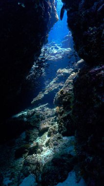 Mağaranın içindeki su altı sahnesi. Güneş ışığı çok güzel. Tüplü dalıştan.