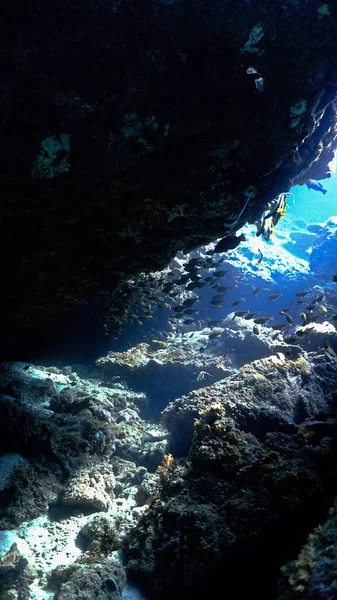 Mağaranın içindeki su altı sahnesi. Güneş ışığı çok güzel. Tüplü dalıştan.