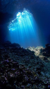 Artistic underwater photo of magic rays of sunlight inside a cave. From a scuba dive.