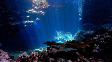 Artistic underwater photo of magic rays of sunlight inside a cave. From a scuba dive.