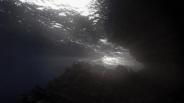 Artistic underwater photo of magic landscape in rays of sunlight.