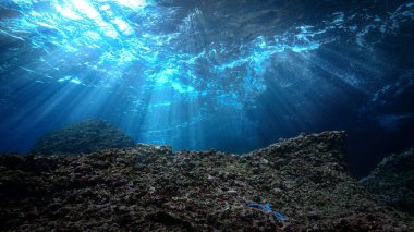 Artistic underwater photo of magic landscape in rays of sunlight.