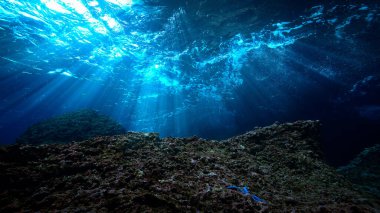 Artistic underwater photo of magic landscape in rays of sunlight.