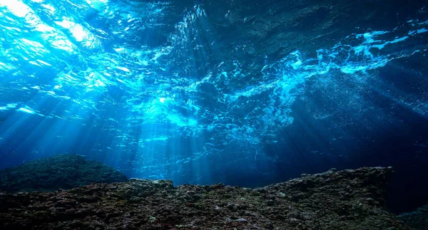 Artistic underwater photo of magic landscape in rays of sunlight.