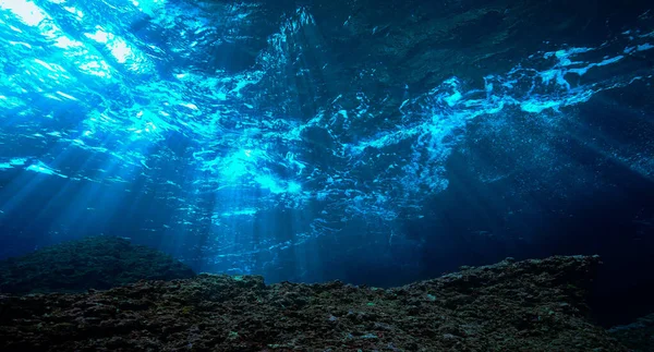 Artistic underwater photo of magic landscape in rays of sunlight.