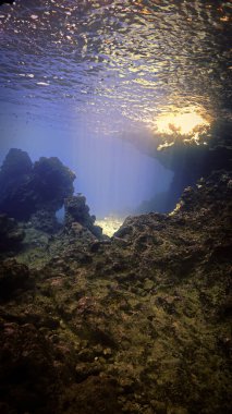 Artistic underwater photo of magic rays of sunlight inside a cave
