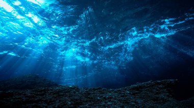 Artistic underwater photo of magic landscape in rays of sunlight