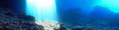 Artistic underwater panaroma photography of rays of sunlight inside a cave