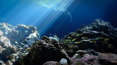 Artistic underwater photography of rays of sunlight inside a cave