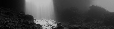 Artistic underwater panaroma photography of rays of sunlight inside a cave