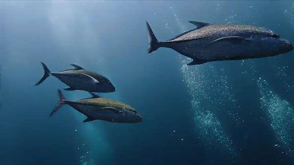 Podwodne Zdjęcia Złotych Ryb Trevally Głębinach Błękitnego Morza — Zdjęcie stockowe