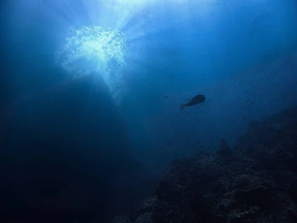 Υποβρύχια Φωτογραφία Ενός Ψαριού Puffer Ακτίνες Του Ήλιου — Φωτογραφία Αρχείου