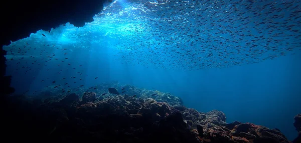 Художественная Подводная Фотография Лучей Солнечного Света Стаи Рыб Над Коралловым — стоковое фото