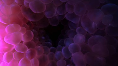 Kabarcık mercanının içinden sualtı makrofotoğrafçılığı