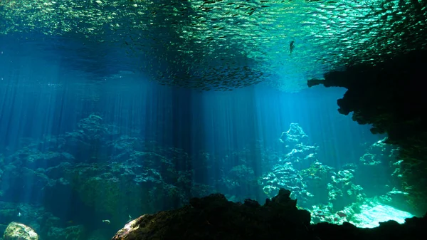 Artystyczne Podwodne Zdjęcie Magicznego Krajobrazu Jaskini Promieniami Słońca — Zdjęcie stockowe