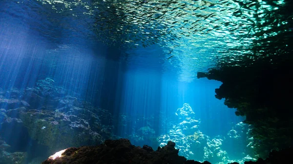 Künstlerisches Unterwasserfoto Einer Magischen Landschaft Einer Höhle Mit Sonnenstrahlen — Stockfoto
