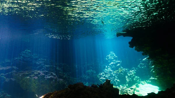 Художнє Підводне Фото Магічного Пейзажу Печері Променями Сонячного Світла — стокове фото