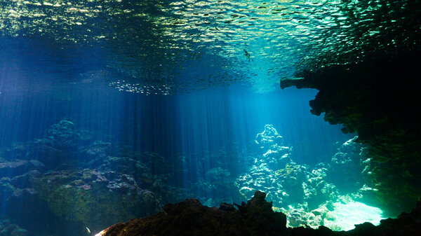 Artistic underwater photo of magic landscape in a cave with rays of sunlight