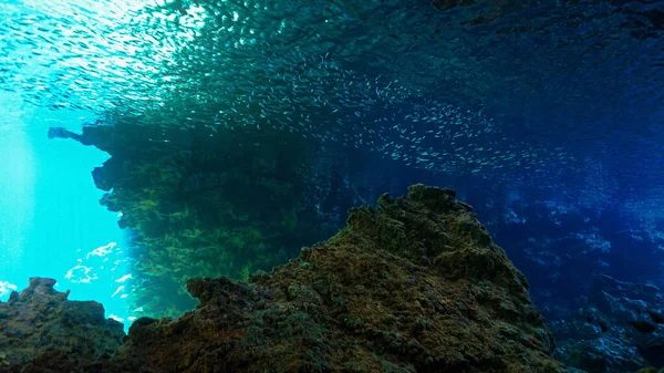 Foto Artística Submarina Paisaje Mágico Una Cueva Con Rayos Luz —  Fotos de Stock