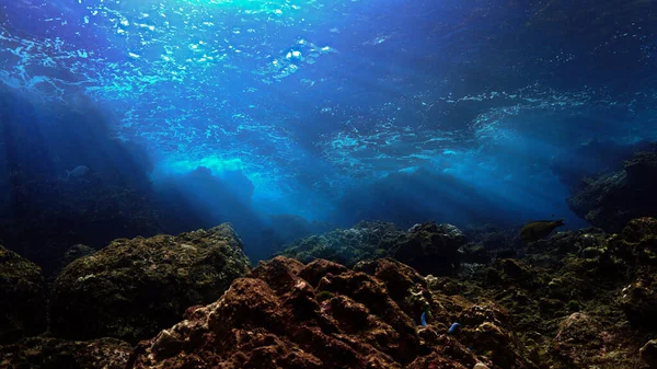 Onderwaterfoto Van Zonnestralen Boven Een Koraalrif — Stockfoto