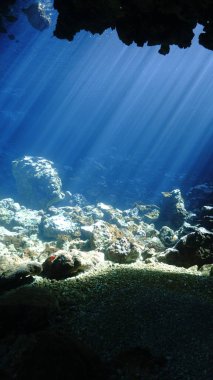 Bir mağaranın içindeki güneş ışınlarının sualtı fotoğrafı.