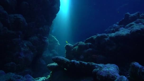 洞穴中阳光照射的水下医疗视频剪辑 — 图库视频影像