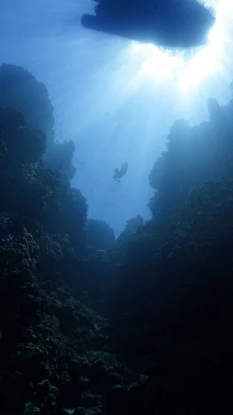 Unterwasserfoto Eines Freien Tauchers Der Sonnenstrahlen Nach Unten Schwimmt — Stockfoto