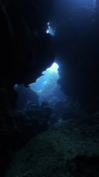 Artistic Underwater Photo Magic Landscape Cave Rays Sunlight — Stock Photo, Image