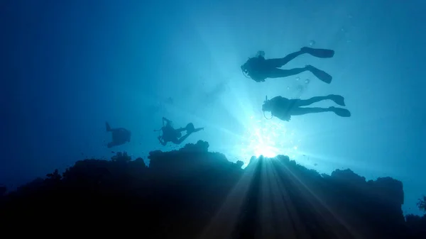 Güneş ışığı altında dalgıcın silueti. Scuba dalışı sırasında çekilmiş su altı fotoğrafı..