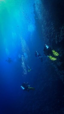 The underwater world and universe of scuba divers