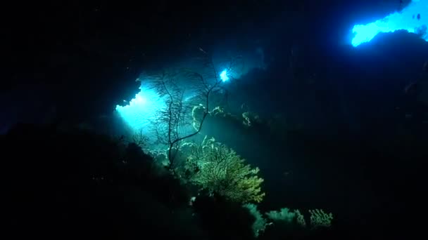 洞穴内光线的水下视频剪辑 — 图库视频影像