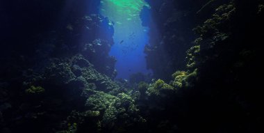 Mercan resifinin kapısındaki ışık ışınlarının sualtı fotoğrafı.
