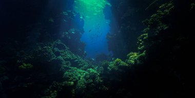 Mercan resifinin kapısındaki ışık ışınlarının sualtı fotoğrafı.