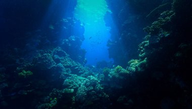 Mercan resifinin kapısındaki ışık ışınlarının sualtı fotoğrafı.