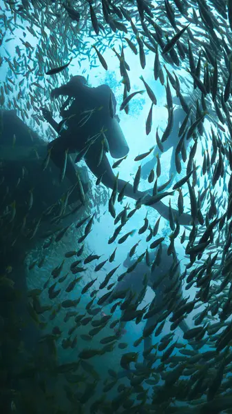 Underwater Photo Scuba Divers Wreck Surrounded School Fish Yellow Bigeyed — Stock Photo, Image