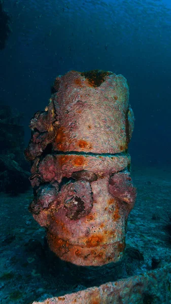 Подводное Фото Морских Котиков Кораллов Рыб Крушении Юге Таиланда Андаманское — стоковое фото