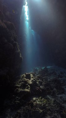 Sihirli güneş ışığı ve mağaranın içindeki kutsal kasenin sualtı fotoğrafı.