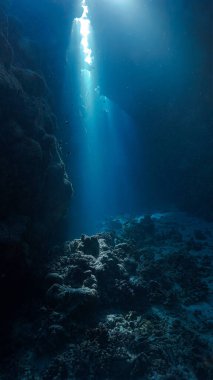 Sihirli güneş ışığı ve mağaranın içindeki kutsal kasenin sualtı fotoğrafı.