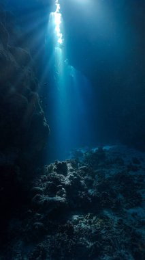 Sihirli güneş ışığı ve mağaranın içindeki kutsal kasenin sualtı fotoğrafı.