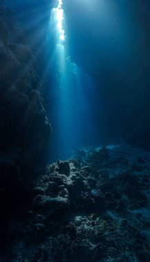 Sihirli güneş ışığı ve mağaranın içindeki kutsal kasenin sualtı fotoğrafı.